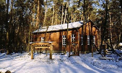 school in a forest