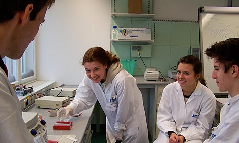 Laboratory Intensive Courses in Molecular Biology and Biotechnology for Beginning Students