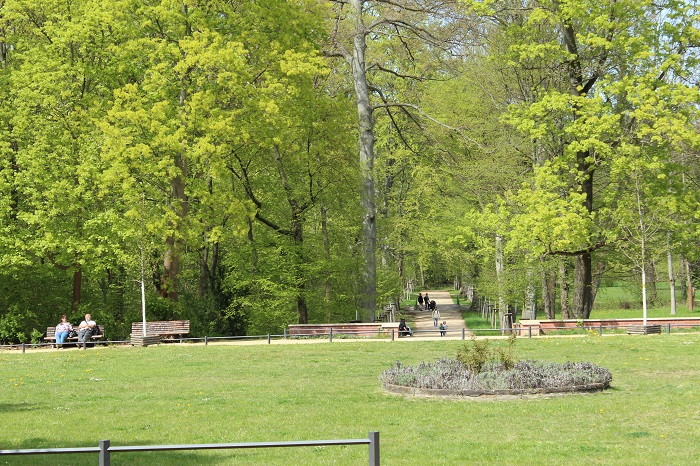 Bucher Schlosspark (Foto: Campus Berlin-Buch GmbH)