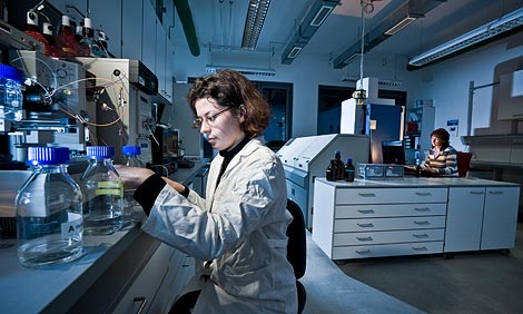 aokin: Rapid Kinetic Assay